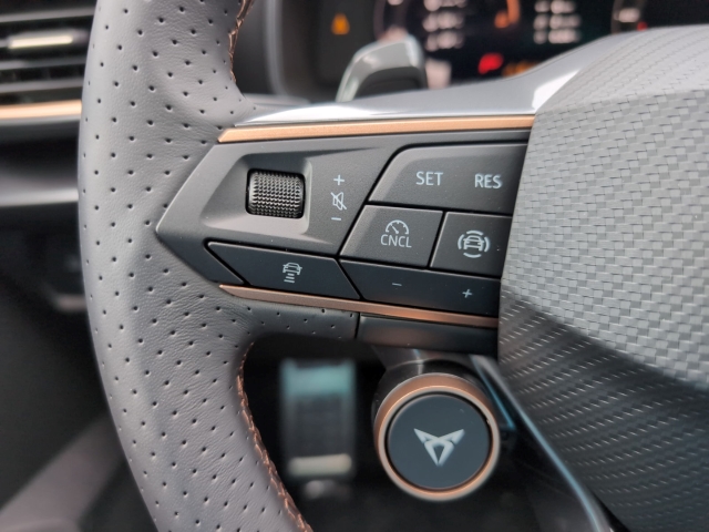 Formentor / UPE: 53.050,-  / 2.0 TDI SKYLINE AHK ACC LED