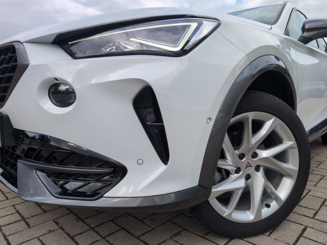 Formentor 2.0 TSI 4Drive 7-Gang-DSG ACC LED FULL LINK