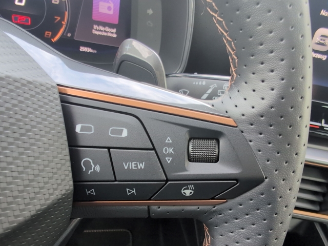 Formentor 2.0 TSI 4Drive 7-Gang-DSG ACC LED FULL LINK