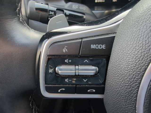 Sorento 2.2D AWD DCT8 PLATINUM NAPPA AHK HUD