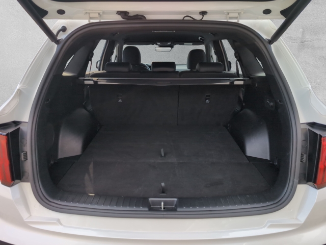 Sorento 2.2D AWD DCT8 PLATINUM NAPPA AHK HUD