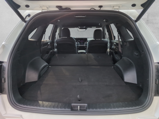 Sorento 2.2D AWD DCT8 PLATINUM NAPPA AHK HUD
