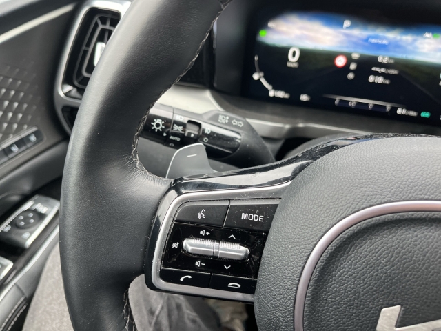 Sorento 1.6 PHEV 4WD PLATINUM 7-S. AHK PANORAMA-GLASDACH