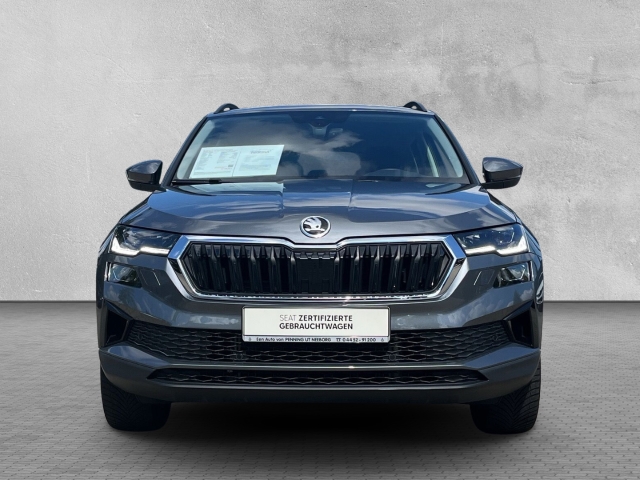 Karoq 2.0 TDI Drive 4x4 Matrix AHK Nav Klima LED PDCv+h