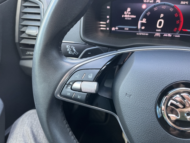Karoq 2.0 TDI Drive 4x4 Matrix AHK Nav Klima LED PDCv+h