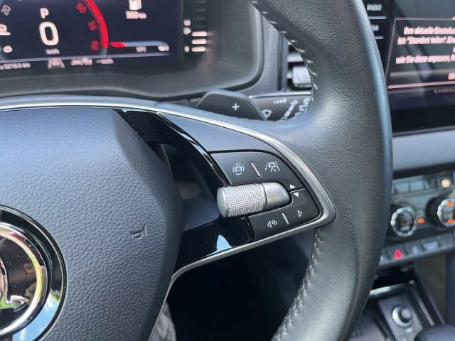 Karoq 2.0 TDI Drive 4x4 Matrix AHK Nav Klima LED PDCv+h