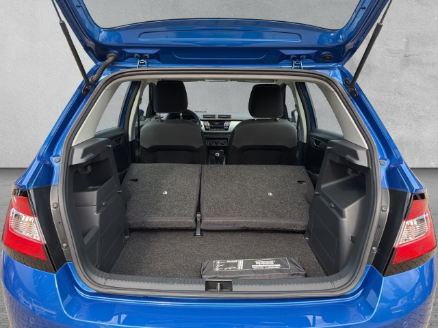 Fabia Drive 1.0 MPI Lichtsensor Klima PDC Servo SHZ