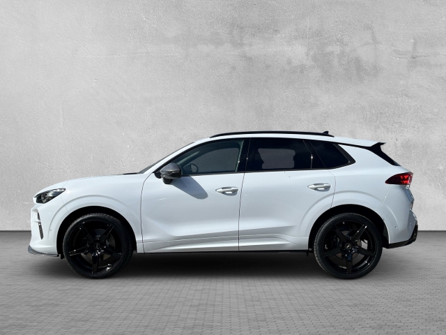 Terramar VZ ABT / UPE: 74.410,-  / 2.0 TSI Edge-Pak. Matrix