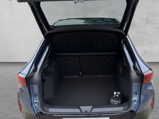 Tavascan Endurance, sofort lieferb. / NP: 60.200,-  / 77kWh Drive Pack