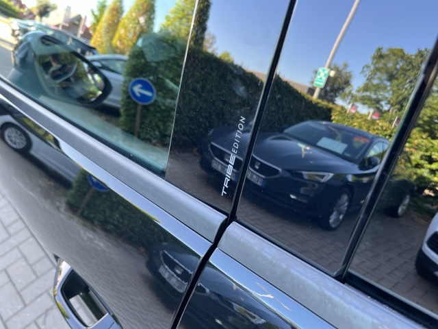 Terramar Tribe Edition / UPE: 65.930,-  / VZ 2.0 TSI