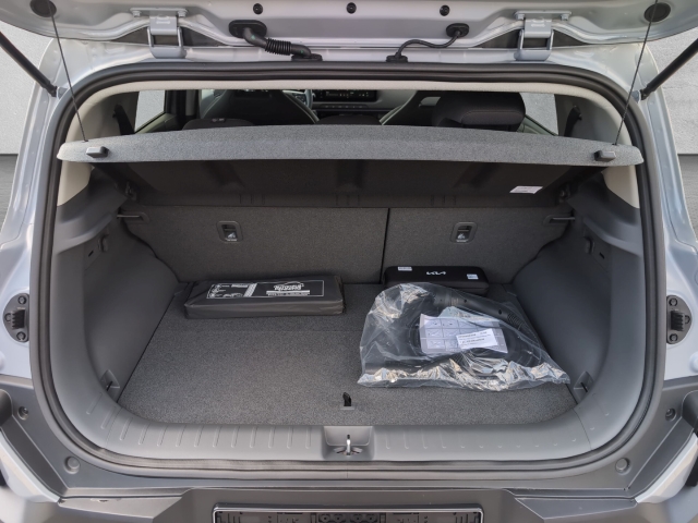 EV2 42,2-kWh 5S / UPE: 38.820,-  / Earth WIC 22AC TEC DWP DES