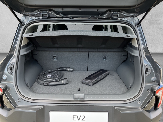 EV2 42,2-kWh 5S / UPE: 38.820,-  / Earth WIC 22AC TEC DWP DES