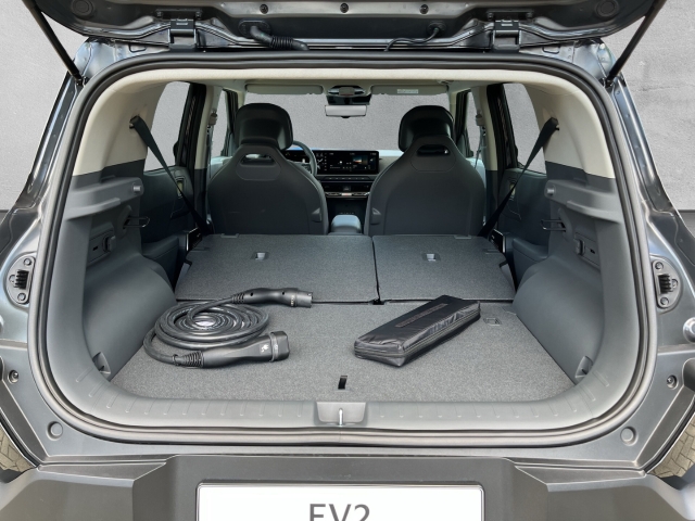 EV2 42,2-kWh 5S / UPE: 38.820,-  / Earth WIC 22AC TEC DWP DES