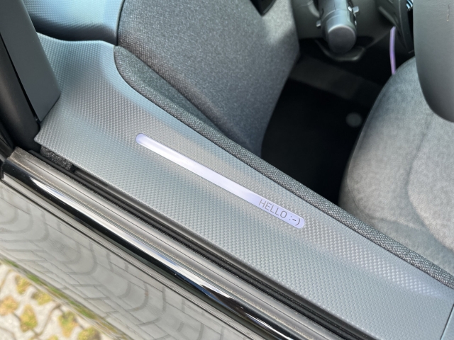 EV2 42,2-kWh 5S / UPE: 38.820,-  / Earth WIC 22AC TEC DWP DES
