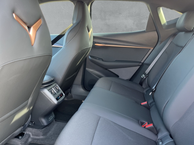 Tavascan Endurance / UPE: 58.850,- / LED KLIMA NAVI ACC BT