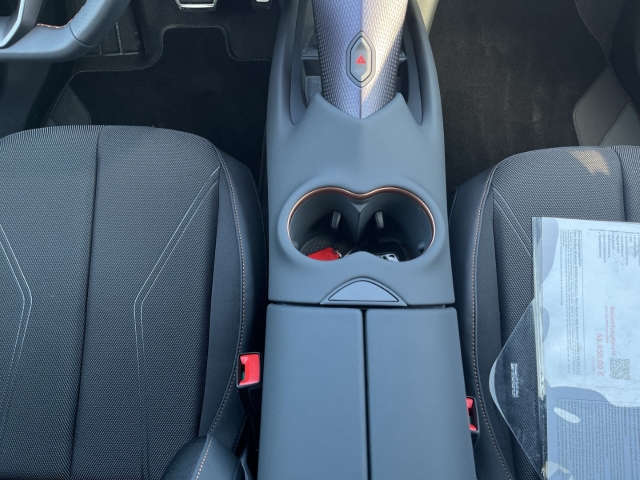 Tavascan Endurance / UPE: 58.850,- / LED KLIMA NAVI ACC BT