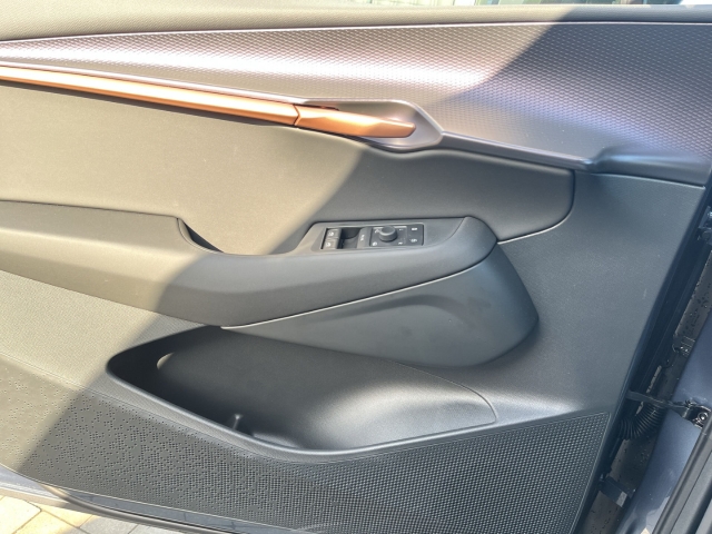 Tavascan Endurance / UPE: 58.850,- / LED KLIMA NAVI ACC BT