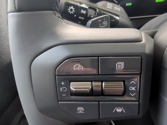 EV2 61-kWh 4S Black-Line / NP: 45.990,-  / 22AC DWP COM